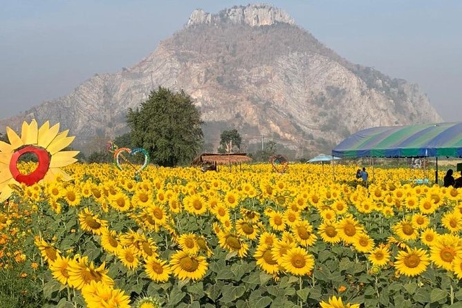 Khao Yai national Park day tour from Bangkok - What to bring for comfort and fewer money surprises