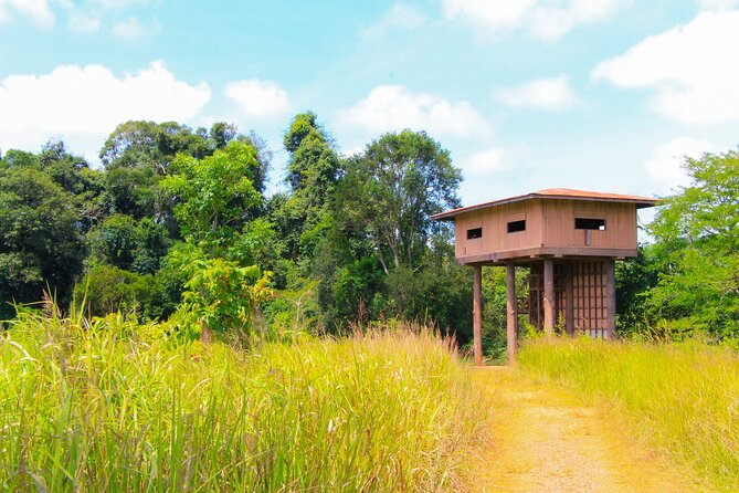 Khao Yai National Park Full Day - The day’s flow: Trail No. 3, Haew Suwat, and Haew Narok