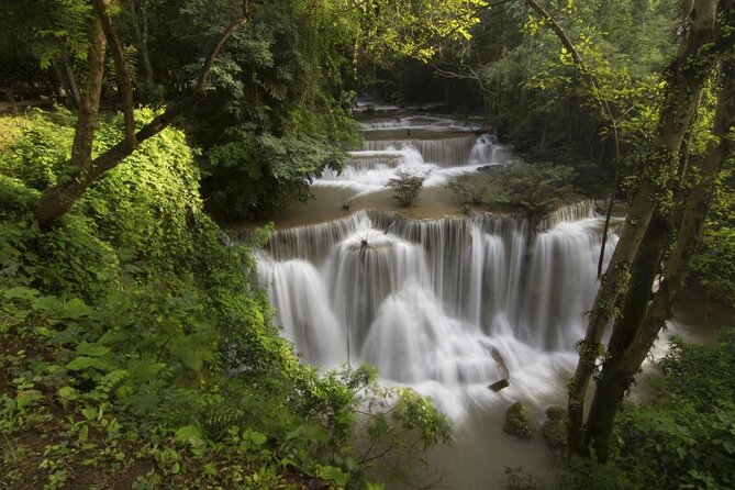 Khao Yai National Park Full-Day From Bangkok - Including Ticket - Stop 1: Khao Yai National Park trek, birds, signs, and the real elephant odds