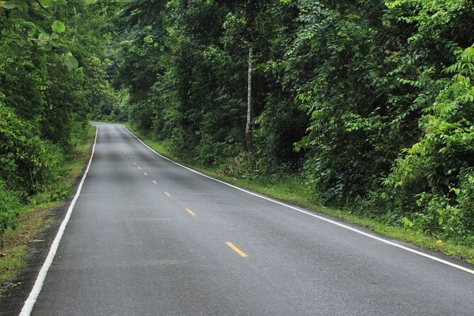 Khao Yai National Park Full-Day From Bangkok - Including Ticket - Haew Suwat Waterfall: photos are great, but the stairs are the story