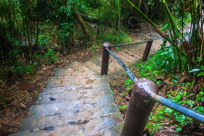 Khao Yai National Park Full-Day From Bangkok - Including Ticket - Haew Narok Waterfall: the three tiers, and why it might not be full power