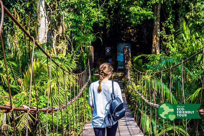 Khao Yai National Park Full Day - What you’re really going for: wildlife moments, not perfect sightings