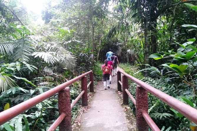 Khao Yai National Park Hiking Day Tour: Haew Narok and Haew Suwat - Lunch and the Khao Yai Visitor Centre: learning that makes the jungle make sense