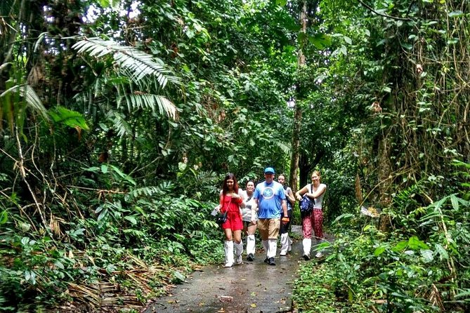 Khao Yai National Park Hiking Day Tour: Haew Narok and Haew Suwat - What’s included, and what you’ll want to plan for yourself