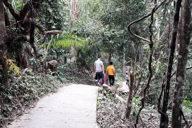 Khao Yai National Park Hiking Day Tour: Haew Narok and Haew Suwat - Best time to visit Khao Yai for waterfall flow