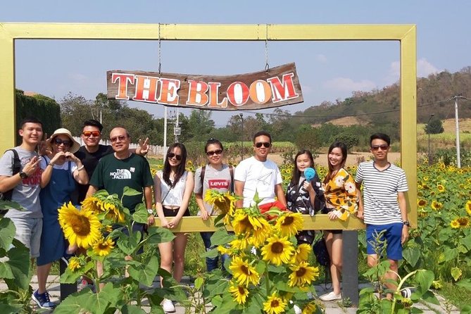 Khao Yai One Day Tour from Bangkok - Hokkaido Flower Park: seasonal color, lots of photo spots, and a surprise chill