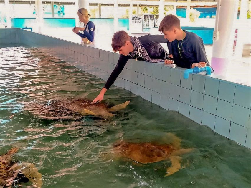 Khaolak: Bamboo Rafting, Waterfalls, and Turtle Conservation - Turtle Conservation Center: How to See Turtles Up Close Without Messing It Up