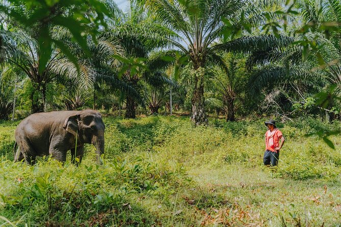 Khaolak Elephant Sanctuary, Cooking Class and Waterfall Tour - Elephant Trust Work, Not a Theme-Park Show