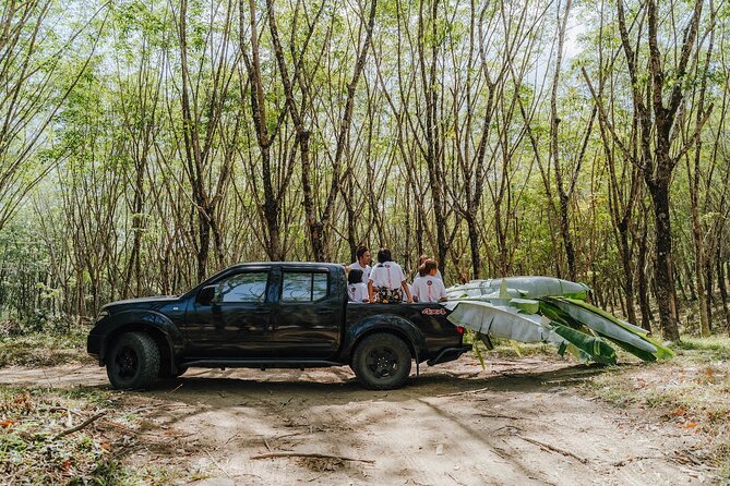 Khaolak Elephant Sanctuary, Cooking Class and Waterfall Tour - Group Size, Booking Timing, and the Day’s Pace