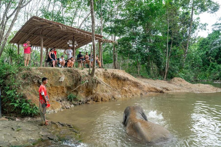 Khaolak: Elephant Sanctuary Guided Tour with Hotel Transfers - Key highlights to look for