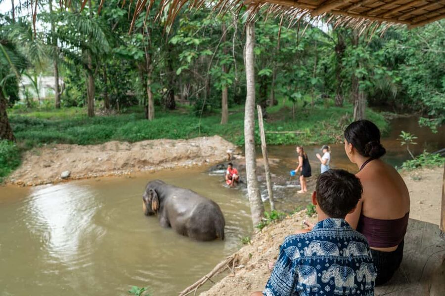Khaolak: Elephant Sanctuary Guided Tour with Hotel Transfers - Khao Lak Elephant Sanctuary: what makes it feel ethical