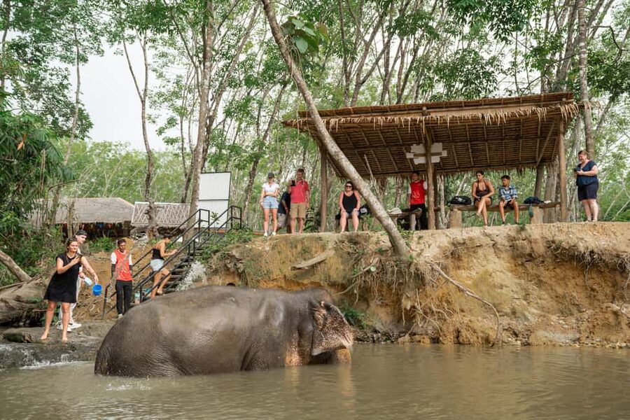 Khaolak: Elephant Sanctuary Guided Tour with Hotel Transfers - Arriving at the sanctuary: safety briefing and first elephant moments