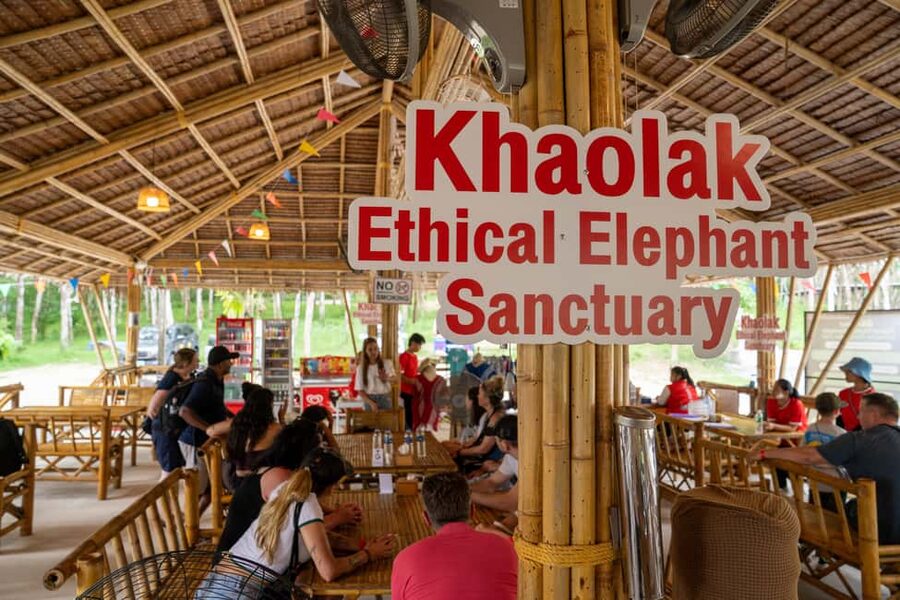 Khaolak: Elephant Sanctuary Guided Tour with Hotel Transfers - The guided bathing session near the river