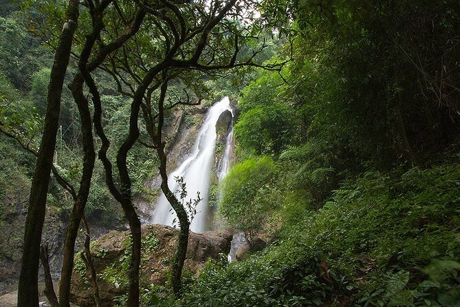 Khaolak Nature & Culture Tour with Lunch - Key points to know before you go