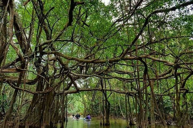 Khaolak Nature & Culture Tour with Lunch - How this 6 to 8 hour plan fits Khao Lak