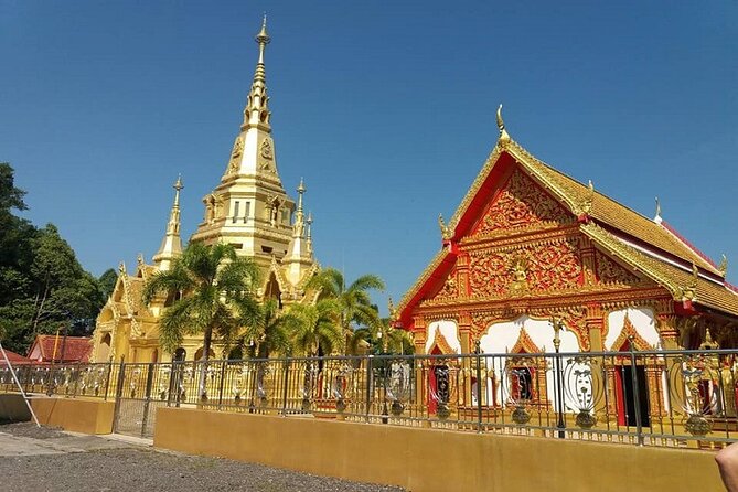 Khaolak Nature & Culture Tour with Lunch - Little Amazon canoeing, wildlife chances, and that slow-water feeling