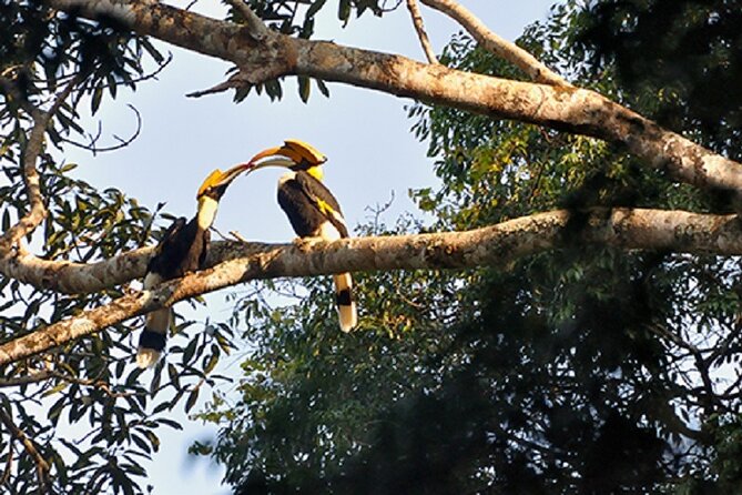 Khaosok Jungle Exploration from Khaolak - Khao Lak pickup and the 8:00am start you should plan for