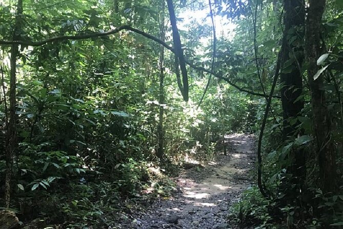 Khaosok Jungle Exploration from Khaolak - Who should book this tour from Khao Lak