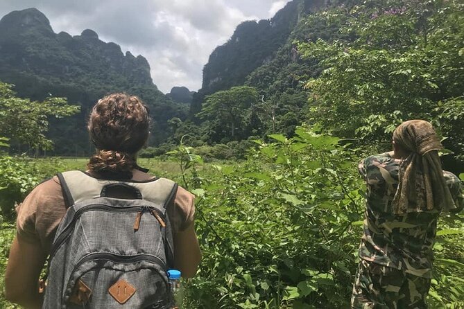 Khaosok Jungle Exploration from Khaolak - Morning trek in Khao Sok National Park, where spotting matters