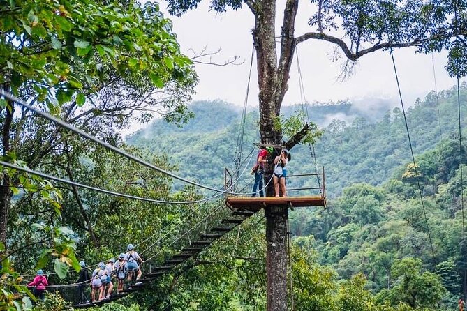 Kingkong Smile Zipline Adventure Tour From Chiang Mai - The Thai Buffet: Fueling Up Without Slowing the Day