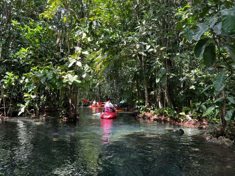 Klong Rud Kayaking with Hotel Transfer - Key highlights worth your time