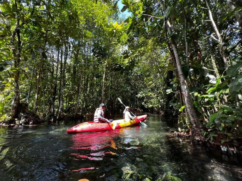 Klong Rud Kayaking with Hotel Transfer - Klong Nam Sai lagoon kayaking, in plain terms