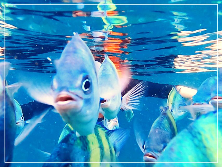 Ko Lanta: 4 Islands Snorkeling Tour by Longtail Boat - Koh Muk and Morakot Cave: The Swim-Through Moment People Remember