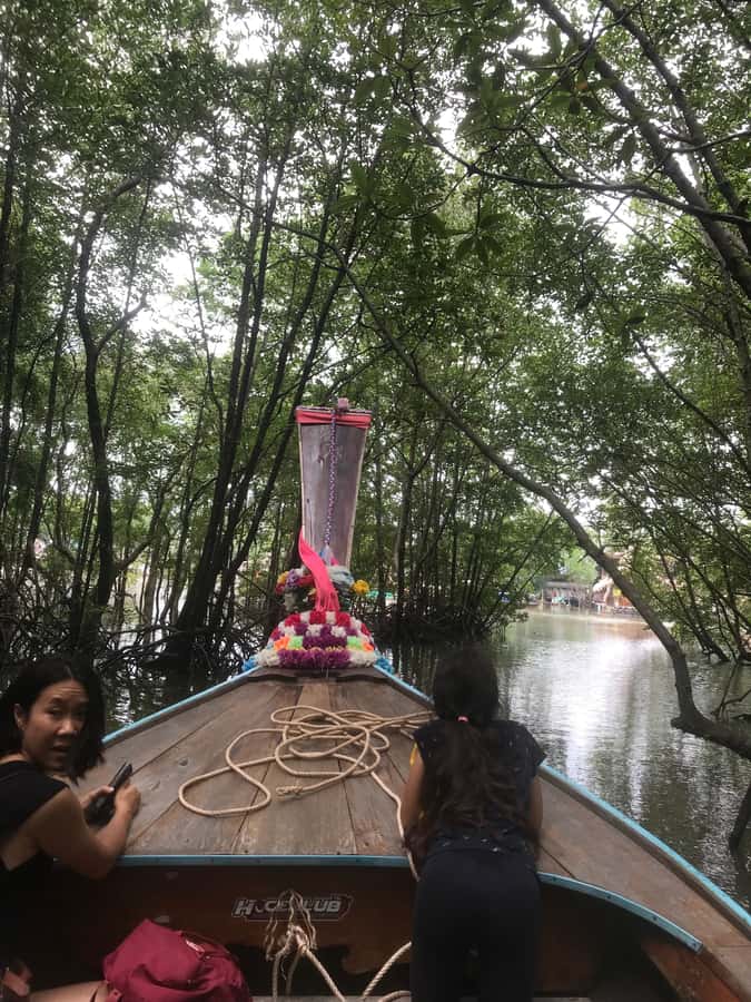 Ko Lanta: EXPLORE MANGROVE TOUR BY LONGTAIL BOAT WITH LUNCH - Key things that make this tour worth your time