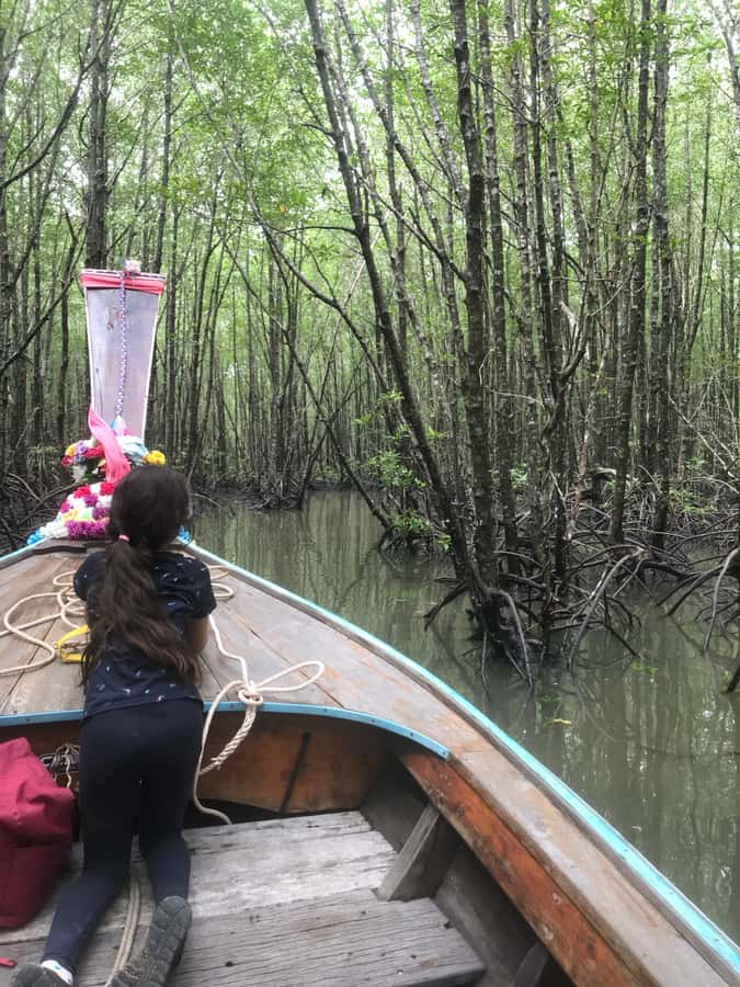 Ko Lanta: EXPLORE MANGROVE TOUR BY LONGTAIL BOAT WITH LUNCH - Price and value at $28, plus the 20 baht village fee