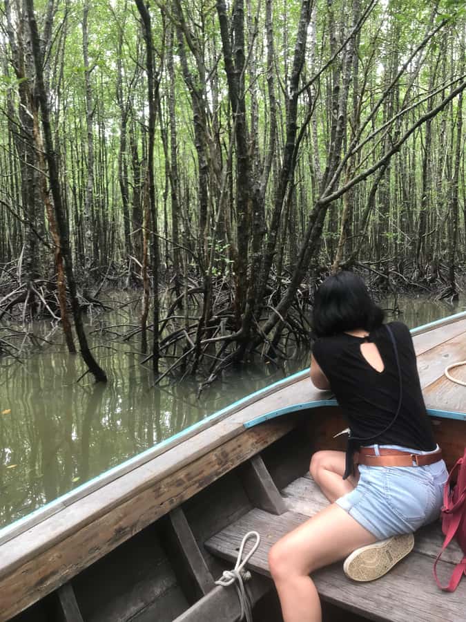 Ko Lanta: EXPLORE MANGROVE TOUR BY LONGTAIL BOAT WITH LUNCH - Who this tour suits best in Ko Lanta