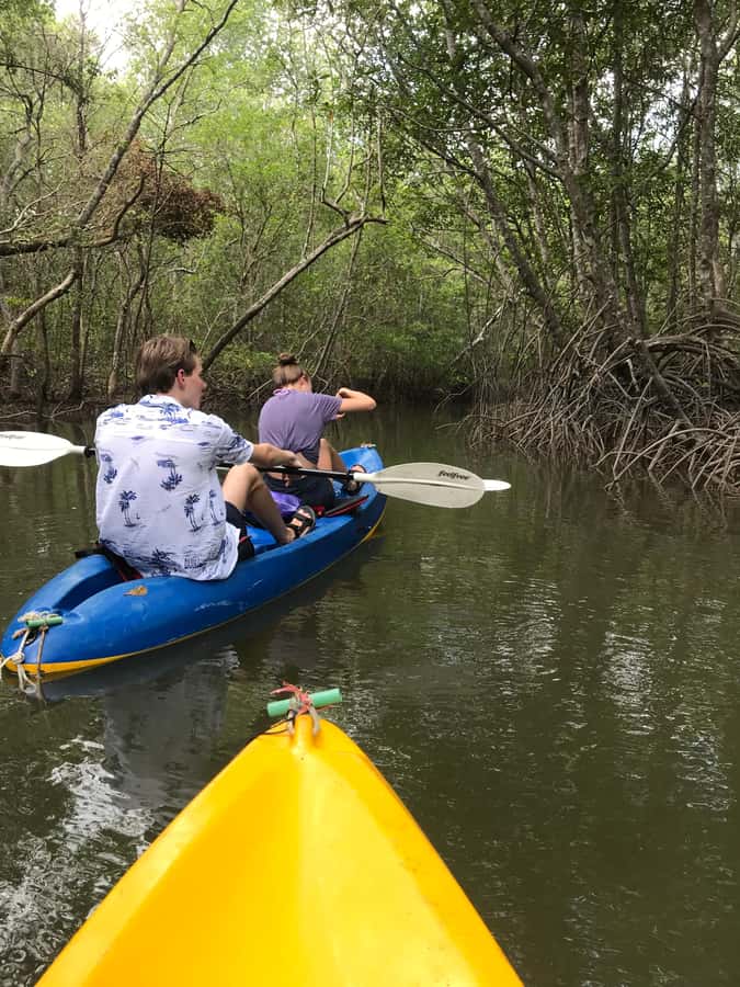 Ko Lanta: HALF DAY EXPLORE MANGROVE KAYAKING TOUR AND LUNCH - Key things I’d plan around