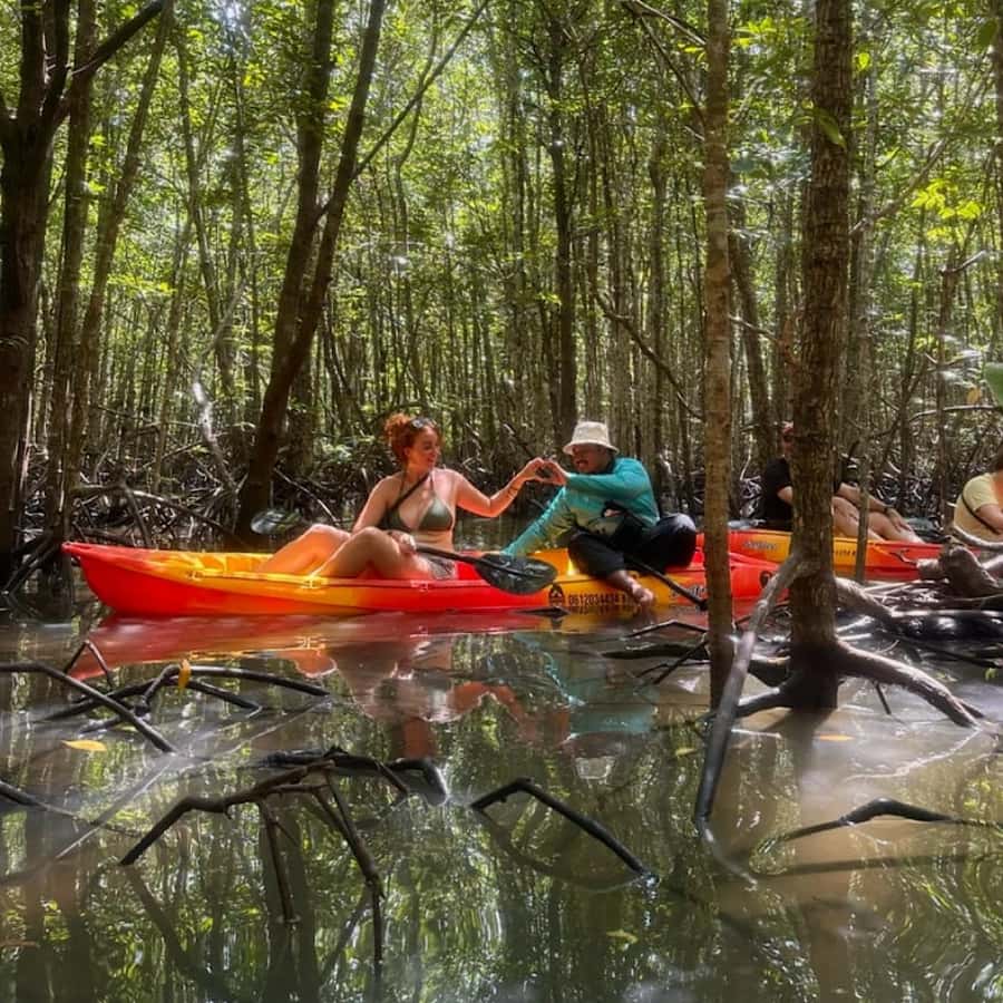 Ko Lanta: HALF DAY EXPLORE MANGROVE KAYAKING TOUR AND LUNCH - Monkey feeding, birds, and the shoreline view of fishermen and villagers
