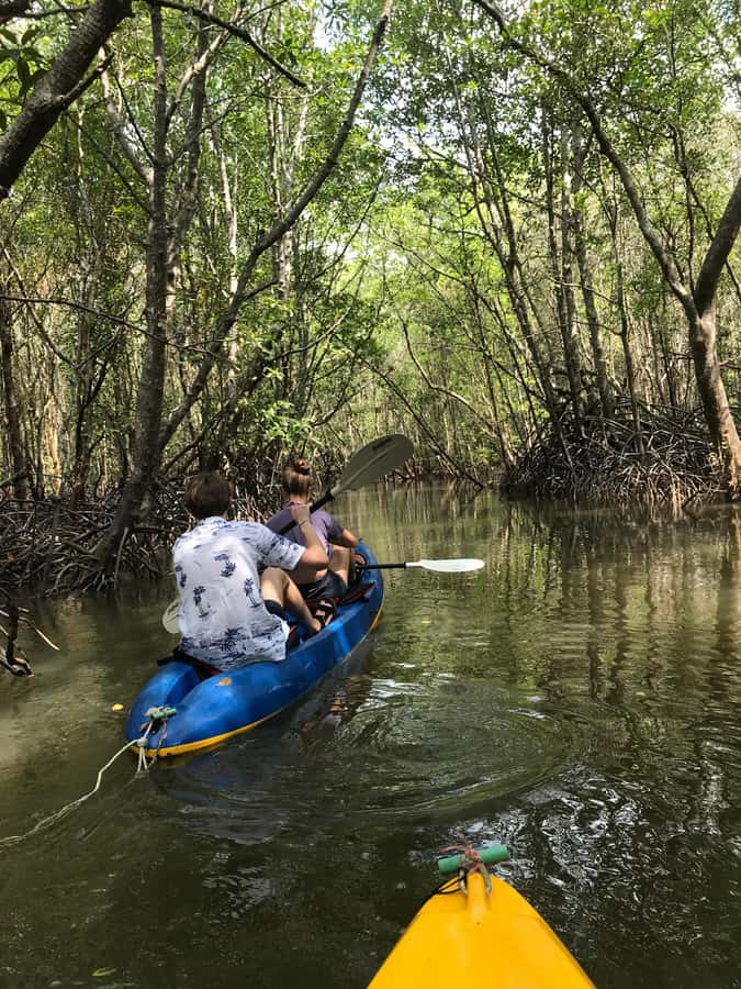 Ko Lanta: HALF DAY EXPLORE MANGROVE KAYAKING TOUR AND LUNCH - What to bring for a comfortable 3.5 hours on the water