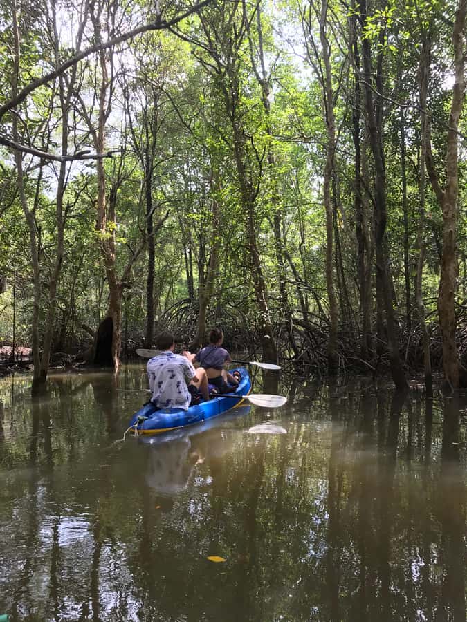 Ko Lanta: HALF DAY EXPLORE MANGROVE KAYAKING TOUR AND LUNCH - Price and value: is $28 worth it on Koh Lanta?