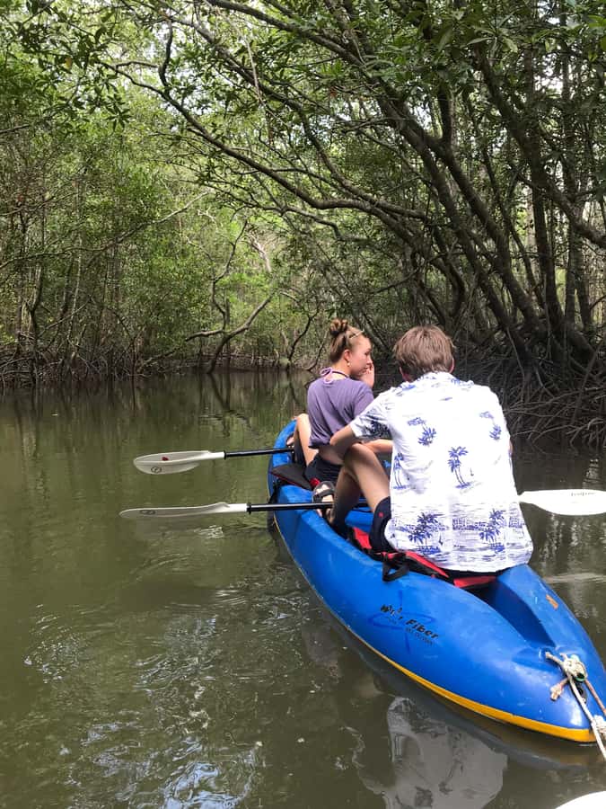 Ko Lanta: HALF DAY EXPLORE MANGROVE KAYAKING TOUR AND LUNCH - Should you book Diamond Cave Tour’s mangrove kayaking and lunch?