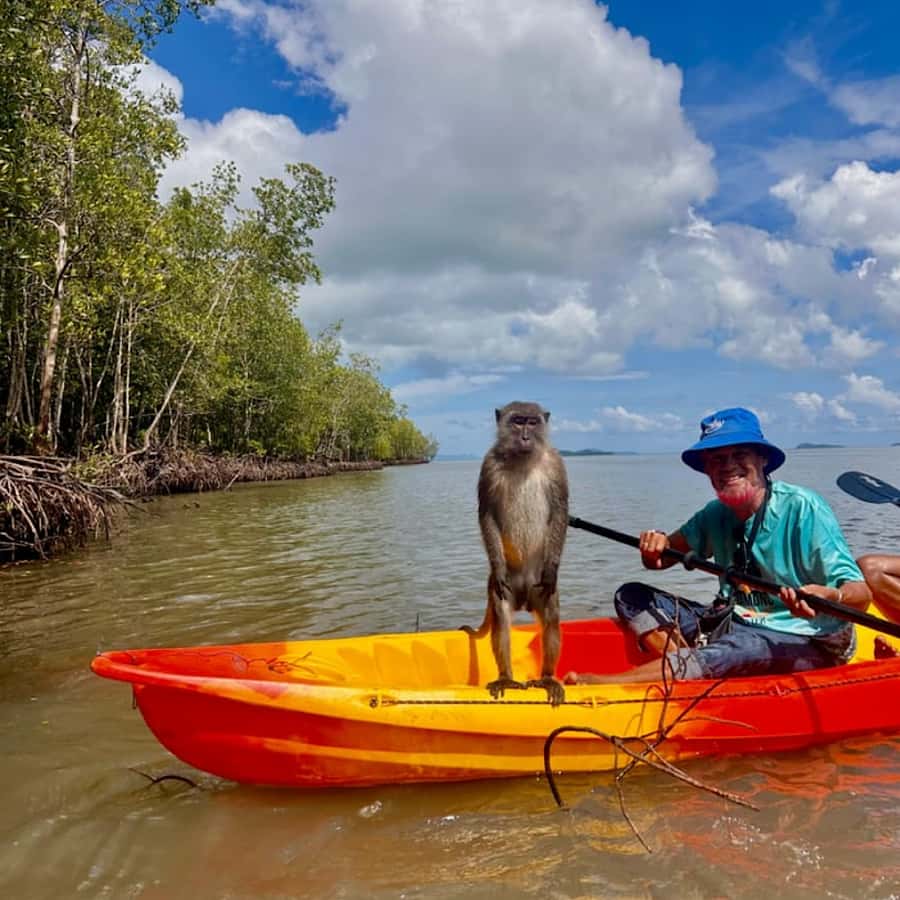 Ko Lanta: HALF DAY EXPLORE MANGROVE KAYAKING TOUR AND LUNCH - Paddling through mangroves: where you’ll actually slow down and look