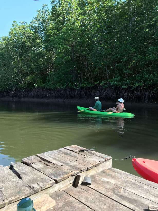 Ko Lanta: Half-Day Mangrove Kayaking Tour with Lunch - Key highlights worth planning around