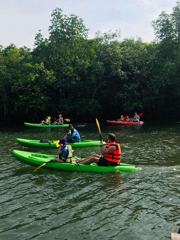 Ko Lanta: Half-Day Mangrove Kayaking Tour with Lunch - Price and Value: $26 for a 3-Hour Half-Day That Feels Like More