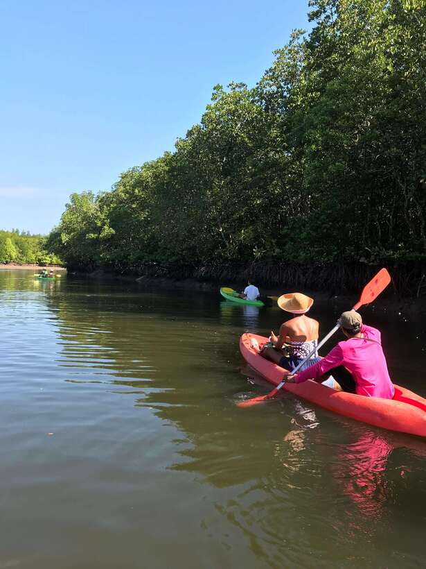 Ko Lanta: Half-Day Mangrove Kayaking Tour with Lunch - Getting There from Ko Lanta Hotels and Boarding at Tung Yee Peng Pier