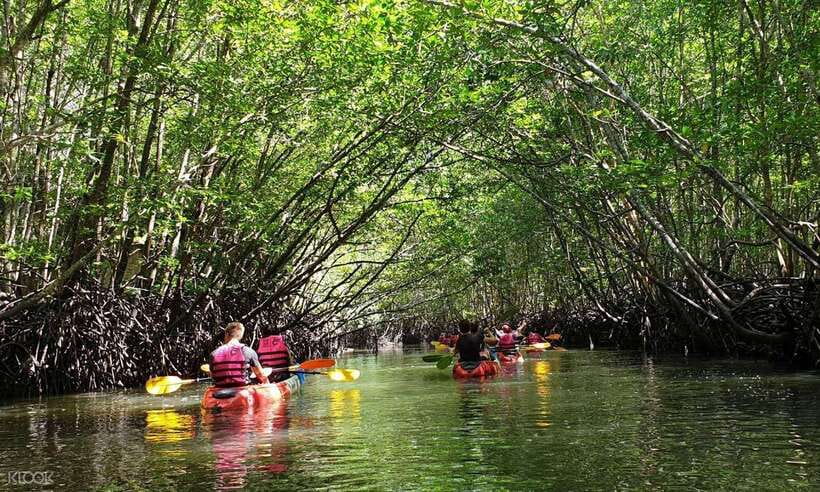 Ko Lanta: Half-Day Mangrove Kayaking Tour with Lunch - How the Kayak Time Feels: Easy Paddling with Real Stops