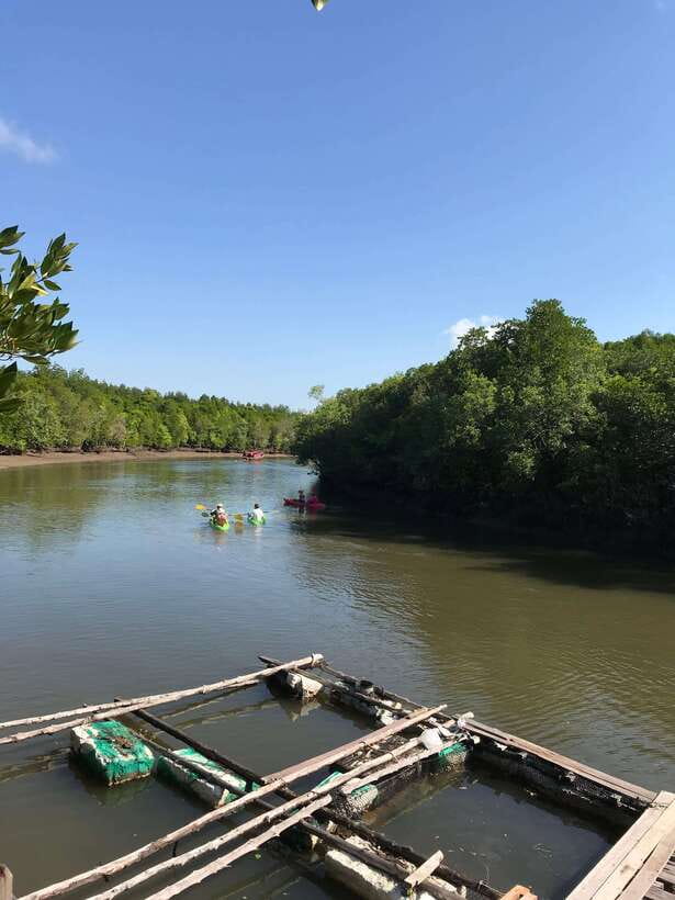 Ko Lanta: Half-Day Mangrove Kayaking Tour with Lunch - The Monkey Stop: Feeding From the Boat, Staying Safe, and Keeping It Respectful