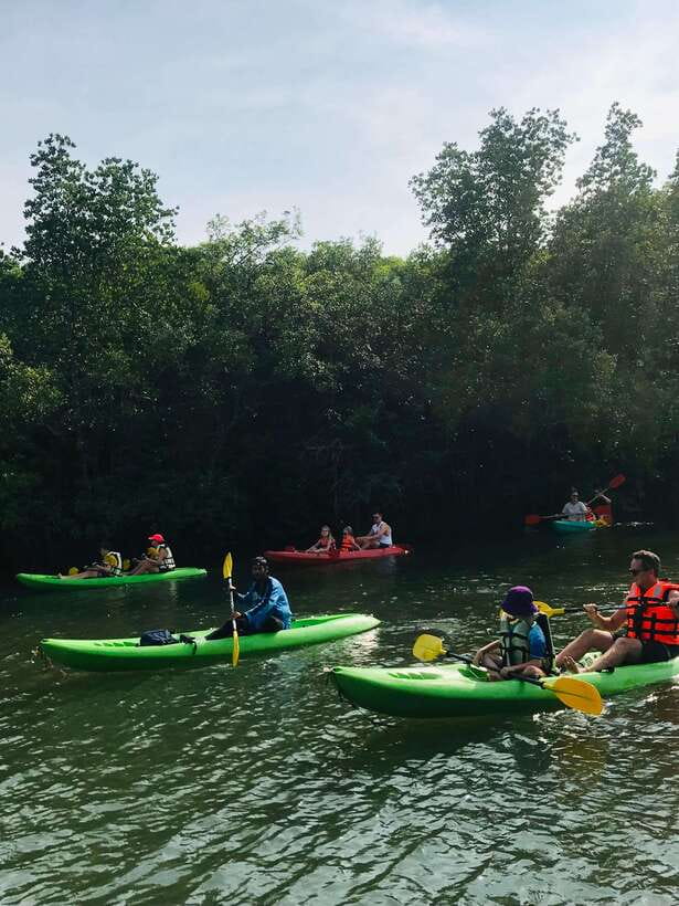 Ko Lanta: Half-Day Mangrove Kayaking Tour with Lunch - Village Life and a Local Fish Farm: Seeing the Coast Beyond the Waterline