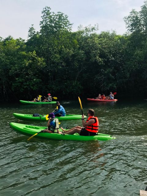 Ko Lanta: Half-Day Mangrove Kayaking Tour with Lunch - Lunch on Ko Lanta: Fruit, Soft Drinks, and Fried Rice You Can Count On