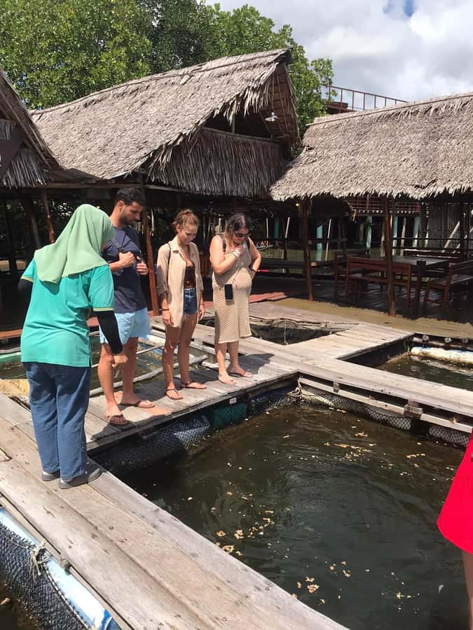 Ko Lanta: Half Day Tour Mangrove Boat Trip With Lunch - The mangrove restaurant stop: fruits, soft drinks, and a simple lunch