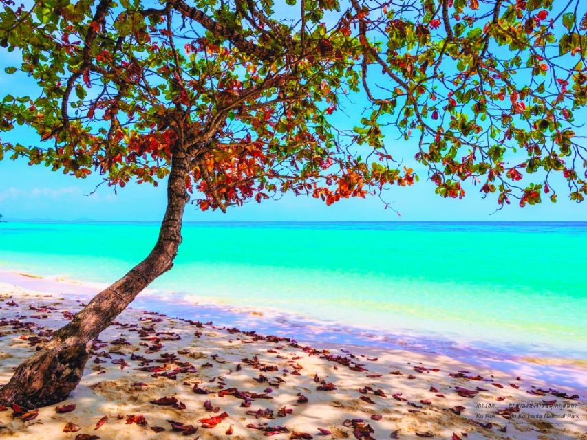 Ko Lanta: Koh Rok & Koh Haa Snorkelling Tour by Speedboat - Morning Pickup, Then Off to Koh Haa (Why the Timing Works)