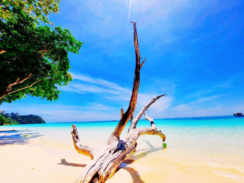 Ko Lanta: Koh Rok & Koh Haa Snorkelling Tour by Speedboat - The Boat Ride to Koh Rok Around 11:00 (Short, Focused, and Active)
