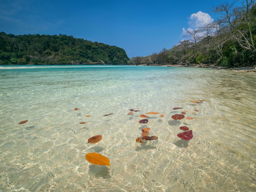 Ko Lanta: Koh Rok & Koh Haa Snorkelling Tour by Speedboat - Price: What You Get for Around $59 Per Person