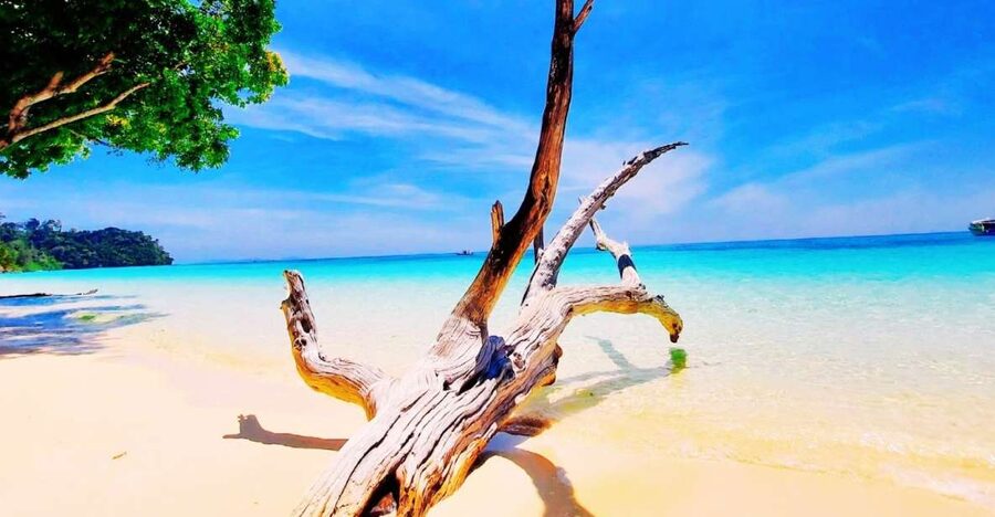 Ko Lanta: Koh Rok & Koh Haa Snorkelling Tour by Speedboat - Koh Haa Snorkeling Stop Around 10:00 (What You’ll Actually See)