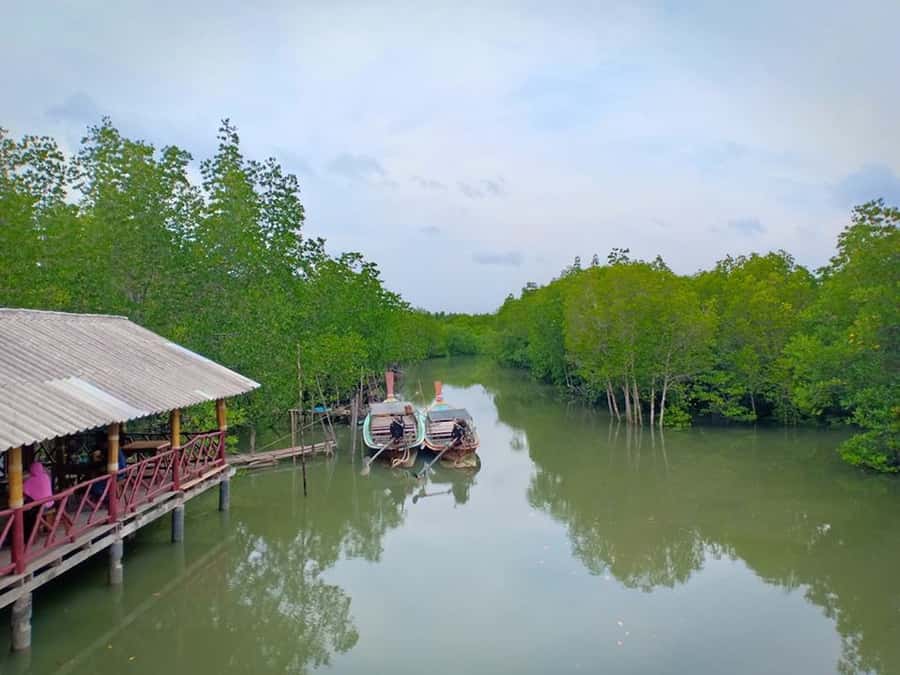 Ko Lanta: Mangrove Forest Boat Tour with Lunch or Dinner - Should you book this Ko Lanta mangrove boat tour?