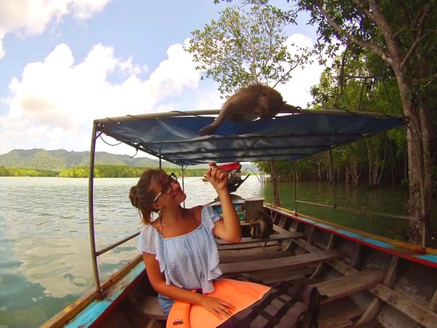 Ko Lanta: Mangrove Forest Boat Tour with Lunch or Dinner - Why Ko Lanta’s mangroves feel different from the usual tours